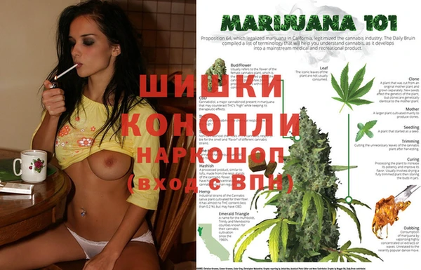 экстази Белокуриха