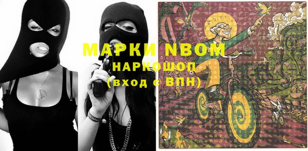 молекула духа Богородицк