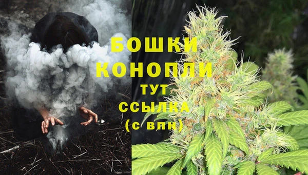 экстази Белокуриха